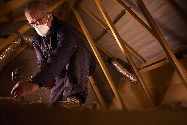 Best Insulation Maintenance and Repair in Versailles, PA
