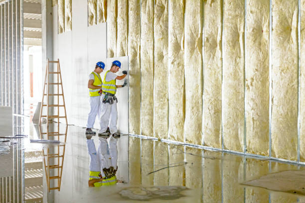 Best Insulation Maintenance and Repair in Versailles, PA